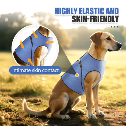 Dog Anxiety Jacket, Dog Coat for Thunder, Skin-Friendly Dog Calming Shirt - Keep Pet Calm, Anti Anxiety Vest for Dogs and Cat