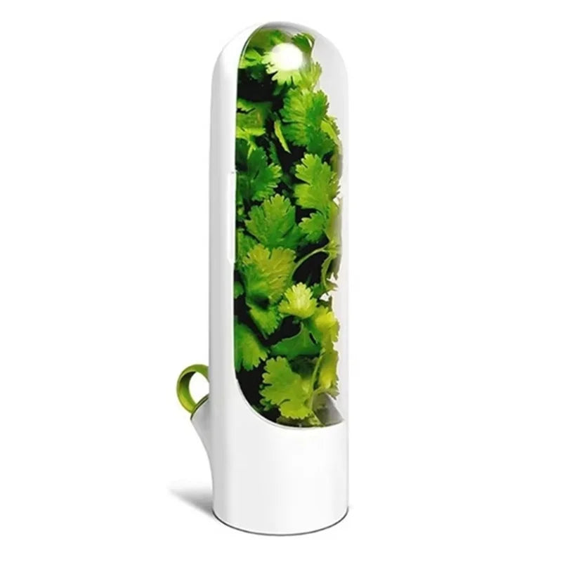1/2/3PCS Herb Saver Storage Container Fresh Herb Keeper Vanilla Vegetables Fresh Preservation Bottle For Refrigerator Kitchen